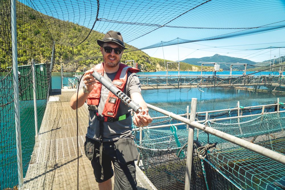 water salinity monitoring