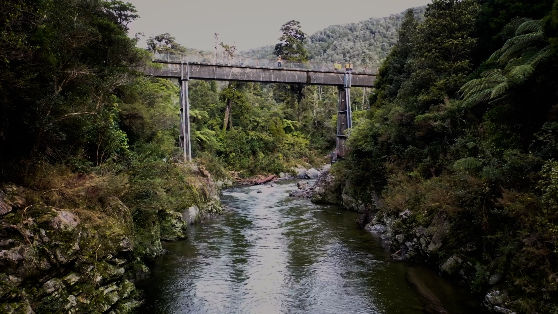 Measure & Mitigate Turbidity | Kaitoke Gorge Bridge Refurbishment