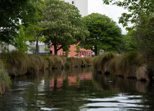 Freshwater monitoring